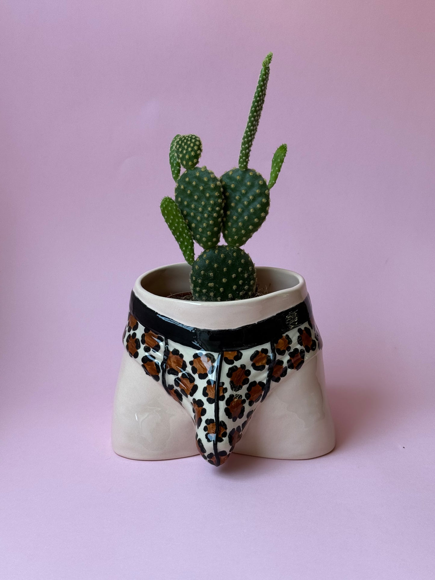 Pre-order. Pot "Briefs"