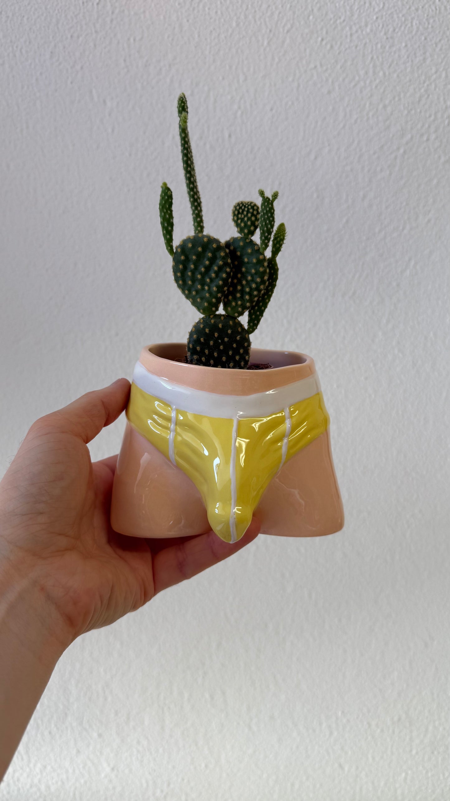 Pre-order. Pot "Briefs"
