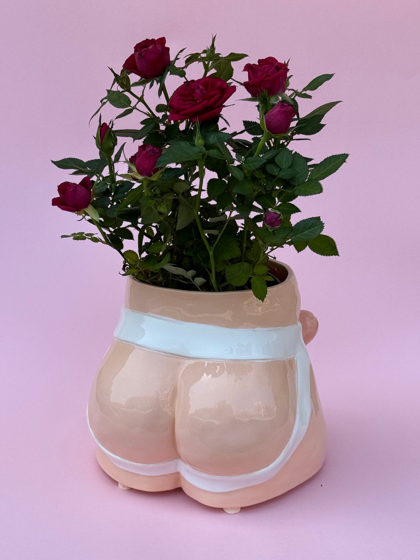 Pot “Jocks” XL