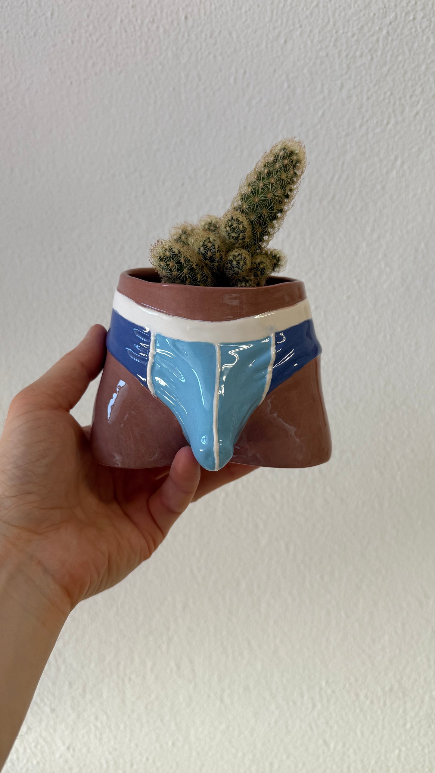 Pre-order. Pot "Briefs"
