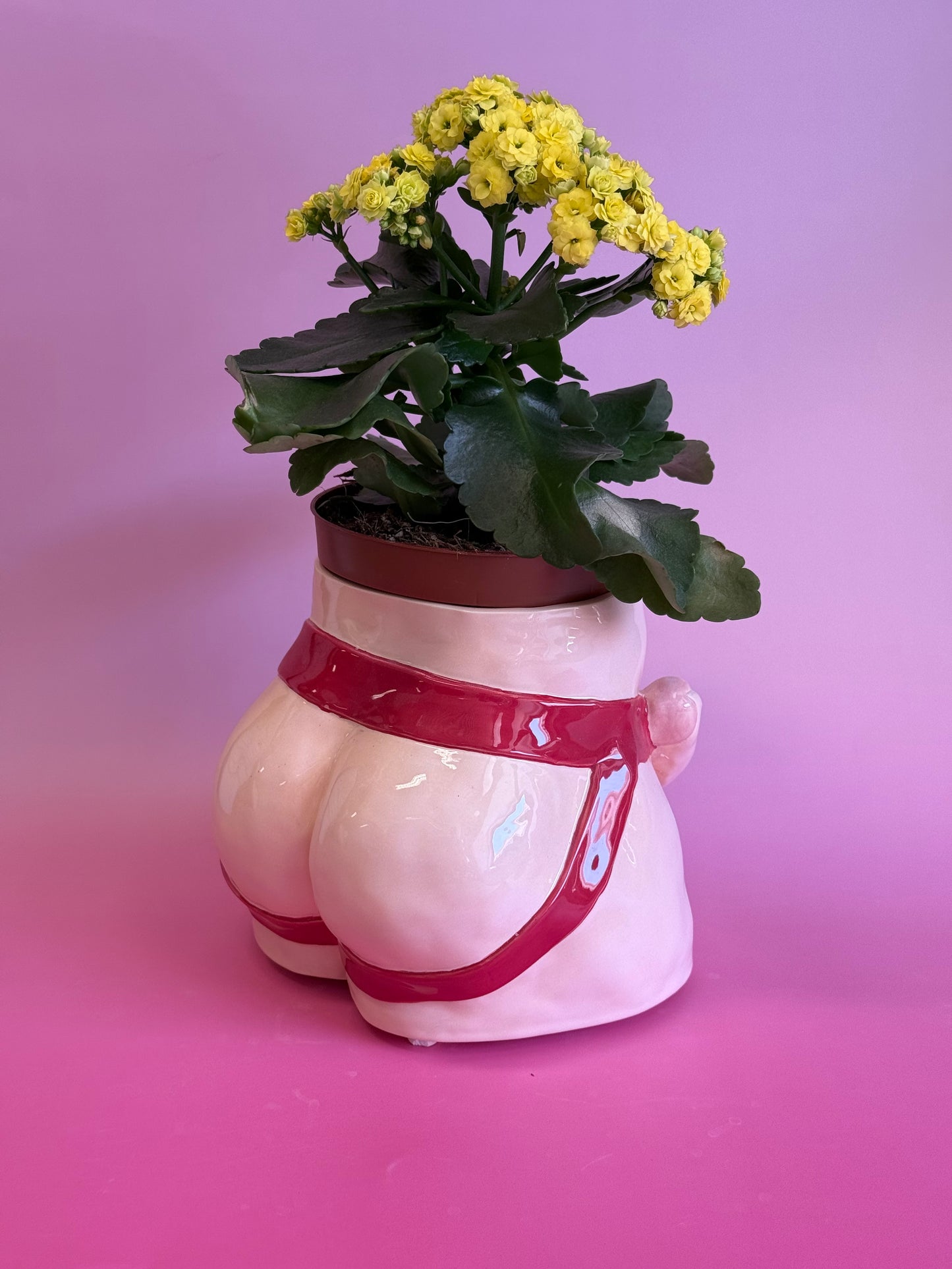 Pot “Jocks” XL