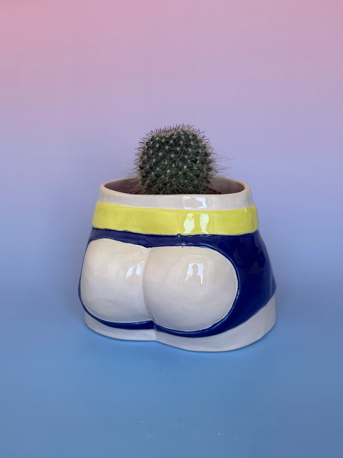 Pre-order. Pot "Briefs"