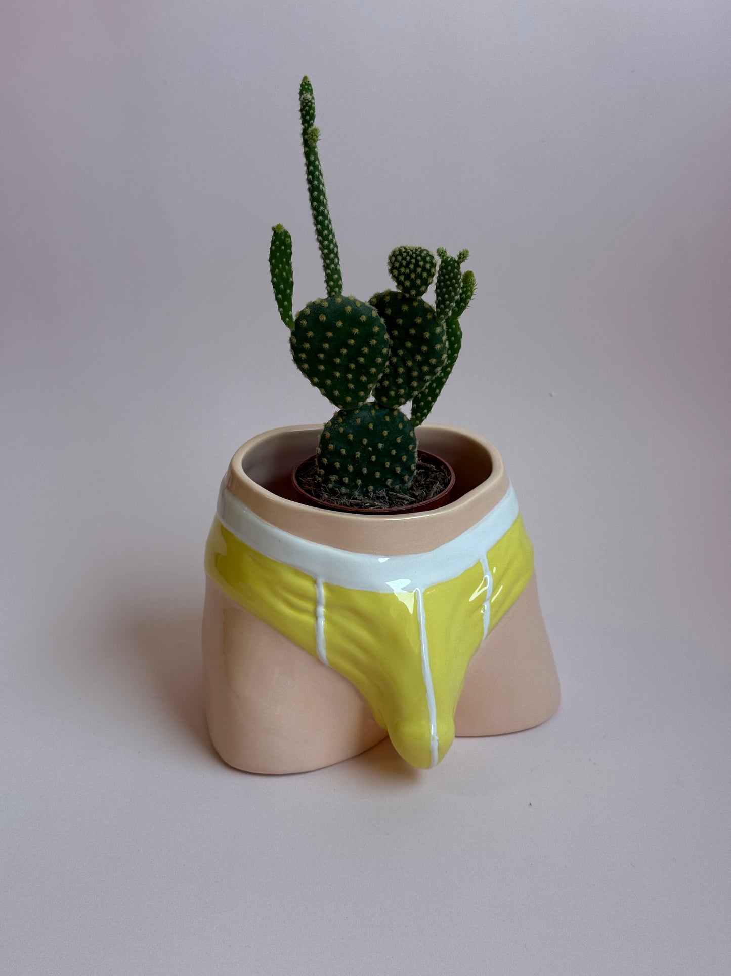 Pre-order. Pot "Briefs"
