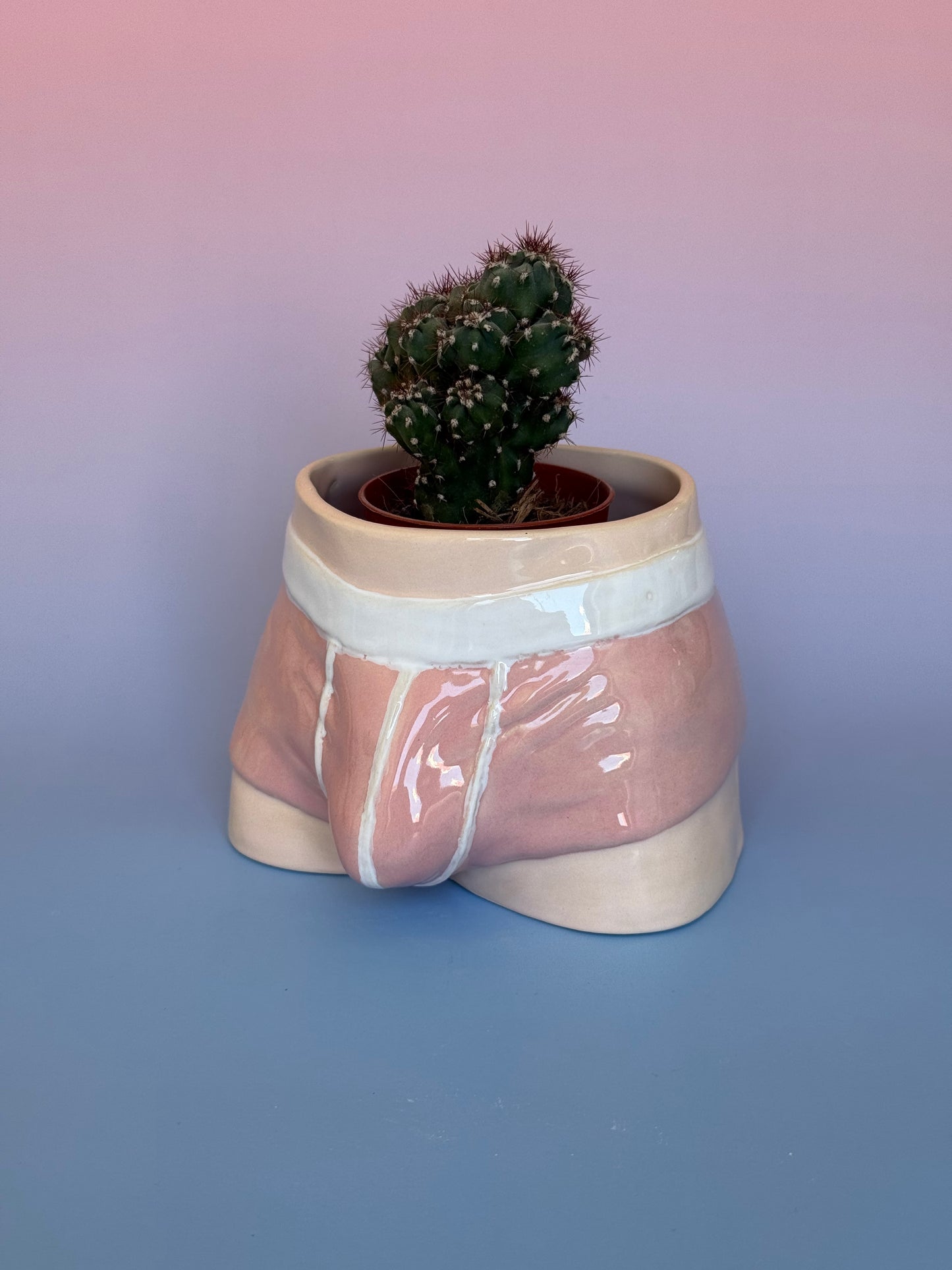 Pre-order. Pot "Briefs"