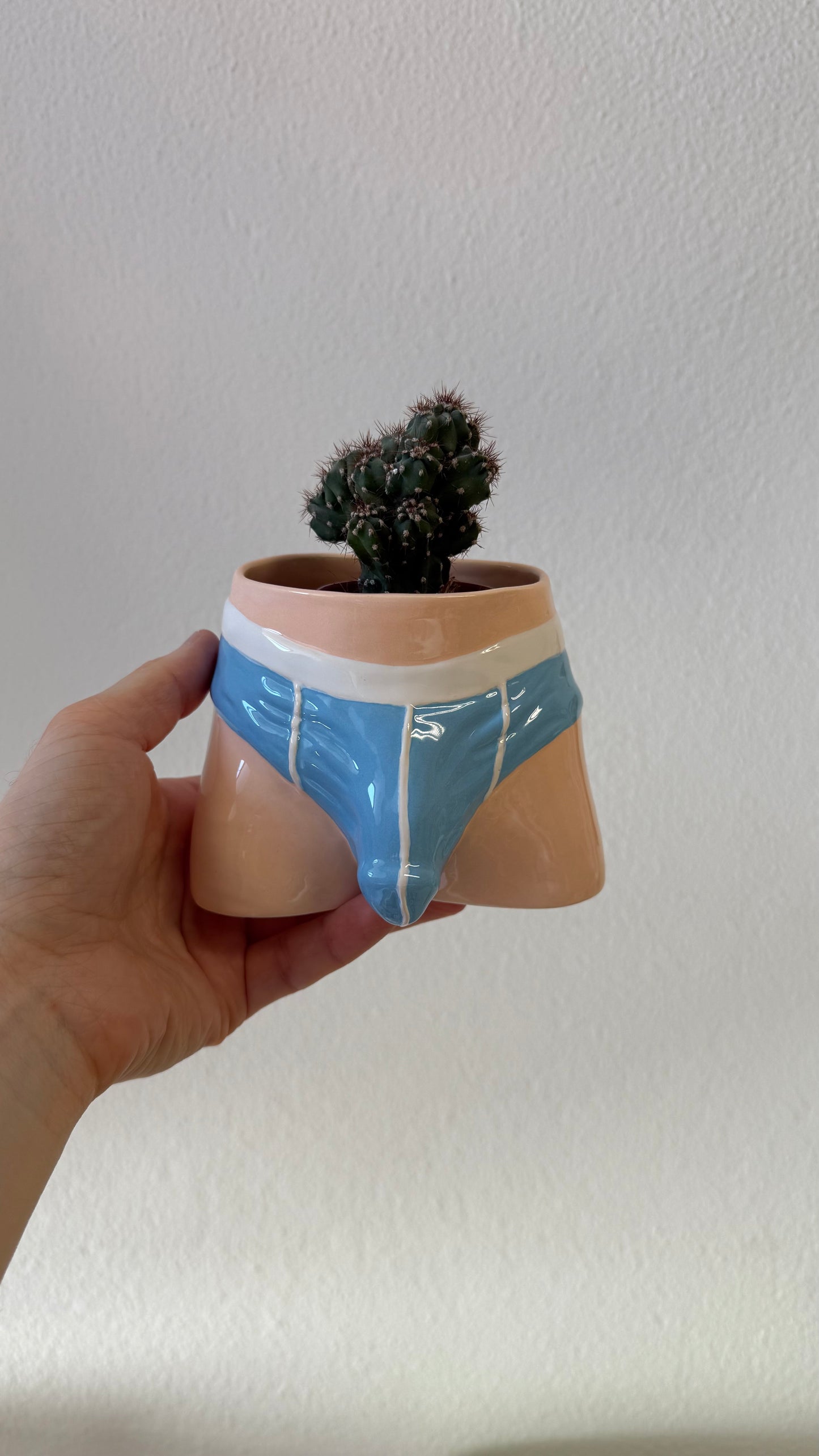 Pre-order. Pot "Briefs"