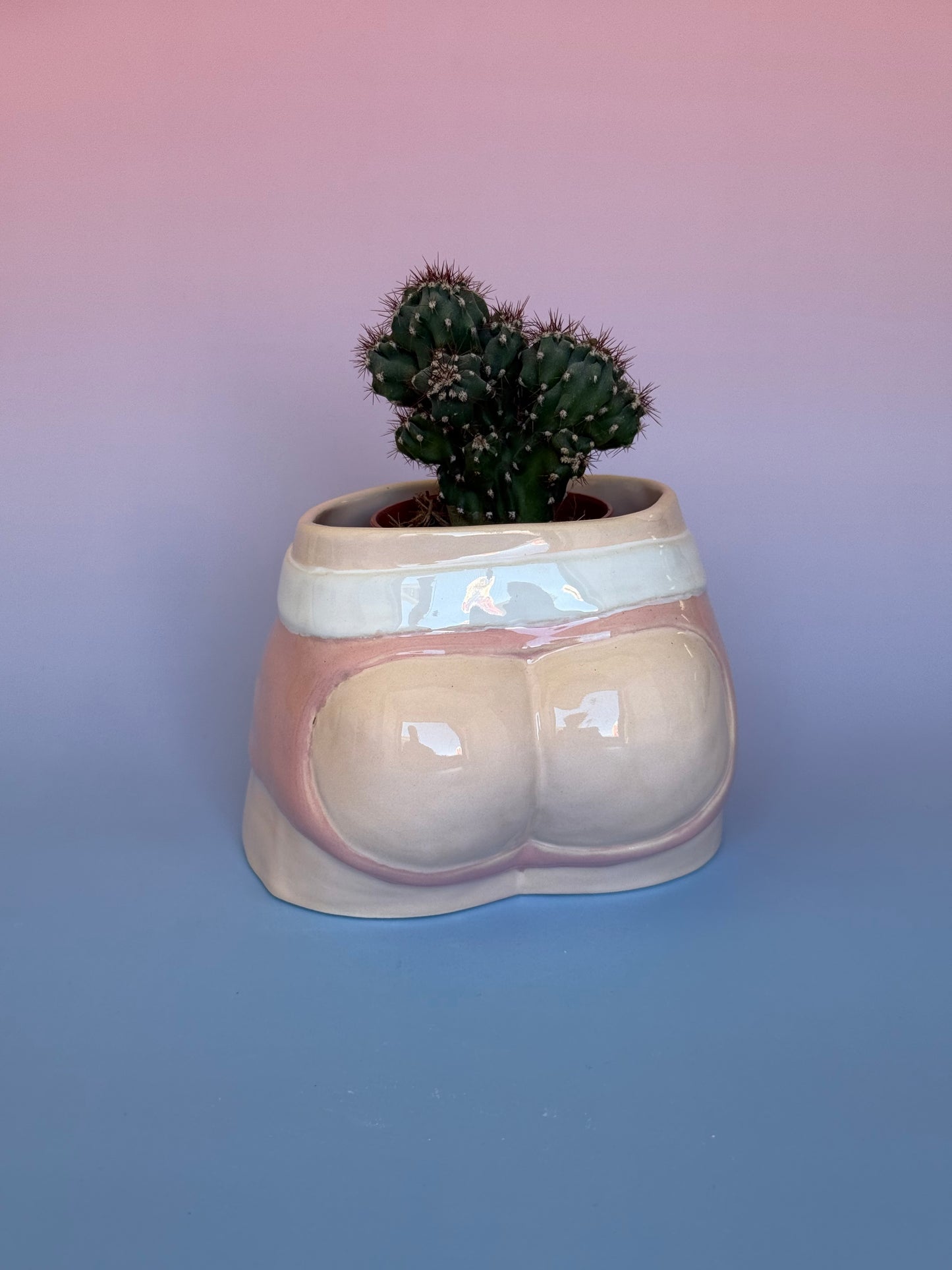 Pre-order. Pot "Briefs"