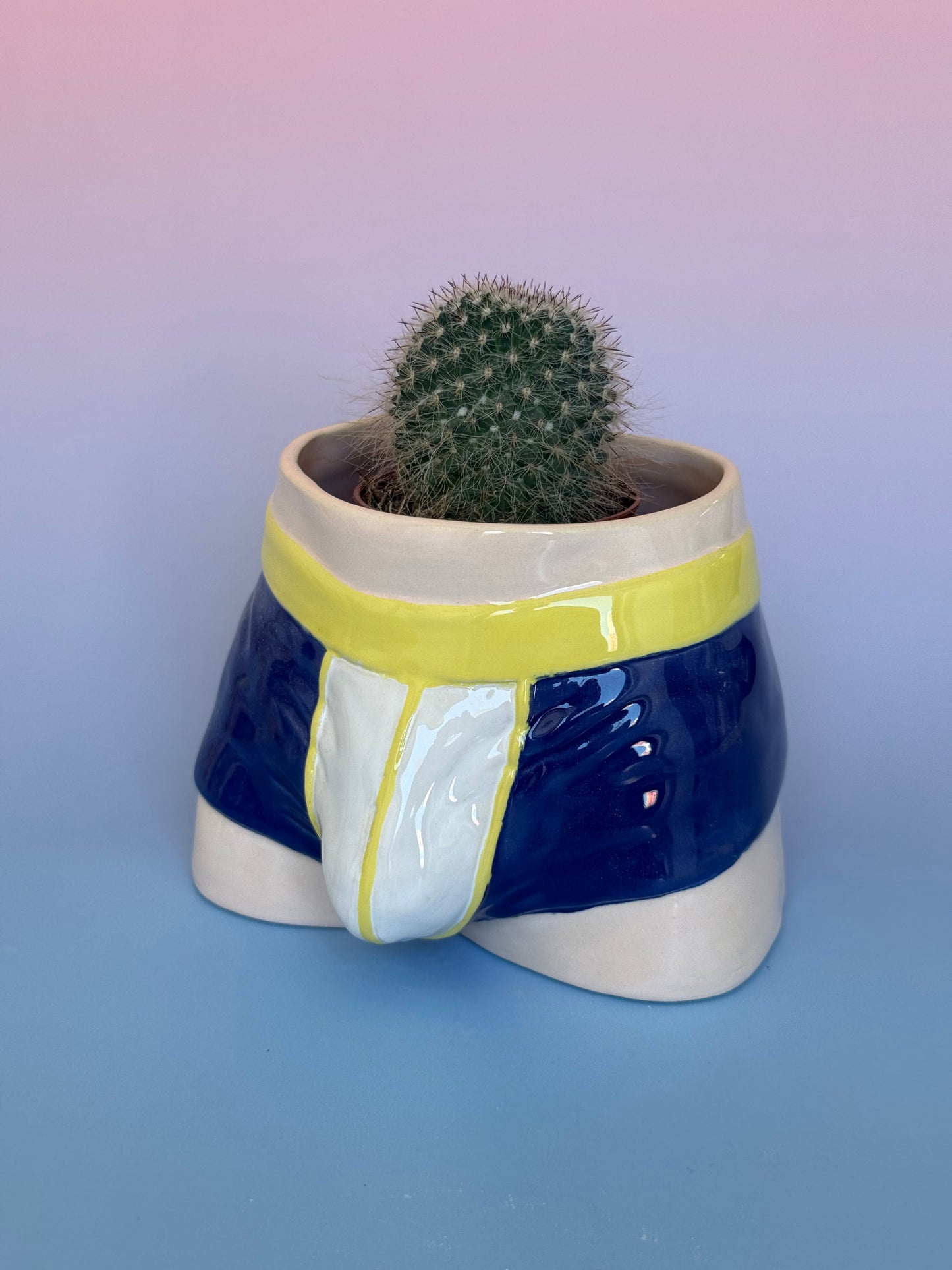 Pre-order. Pot "Briefs"