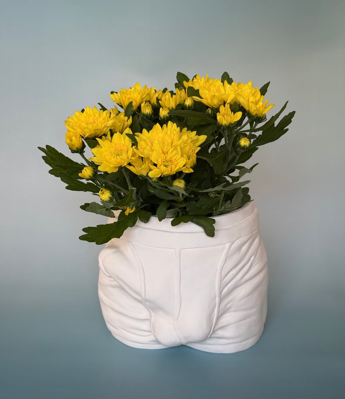 Pot/organizer «ADAM» white