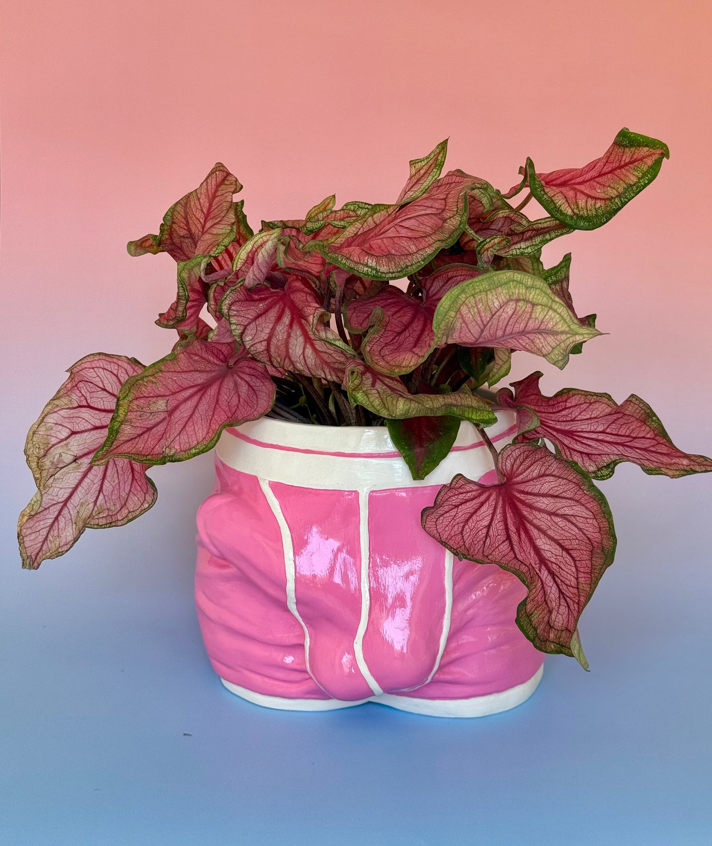 Pot/organizer «ADAM» pink