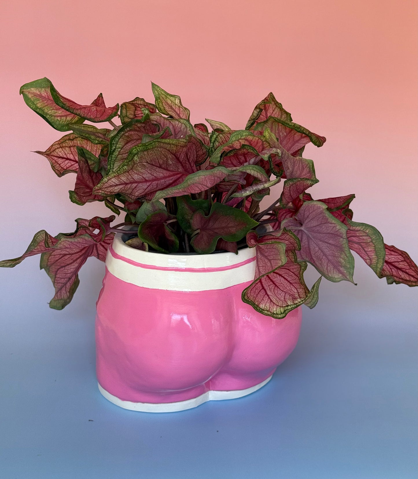 Pot/organizer «ADAM» pink