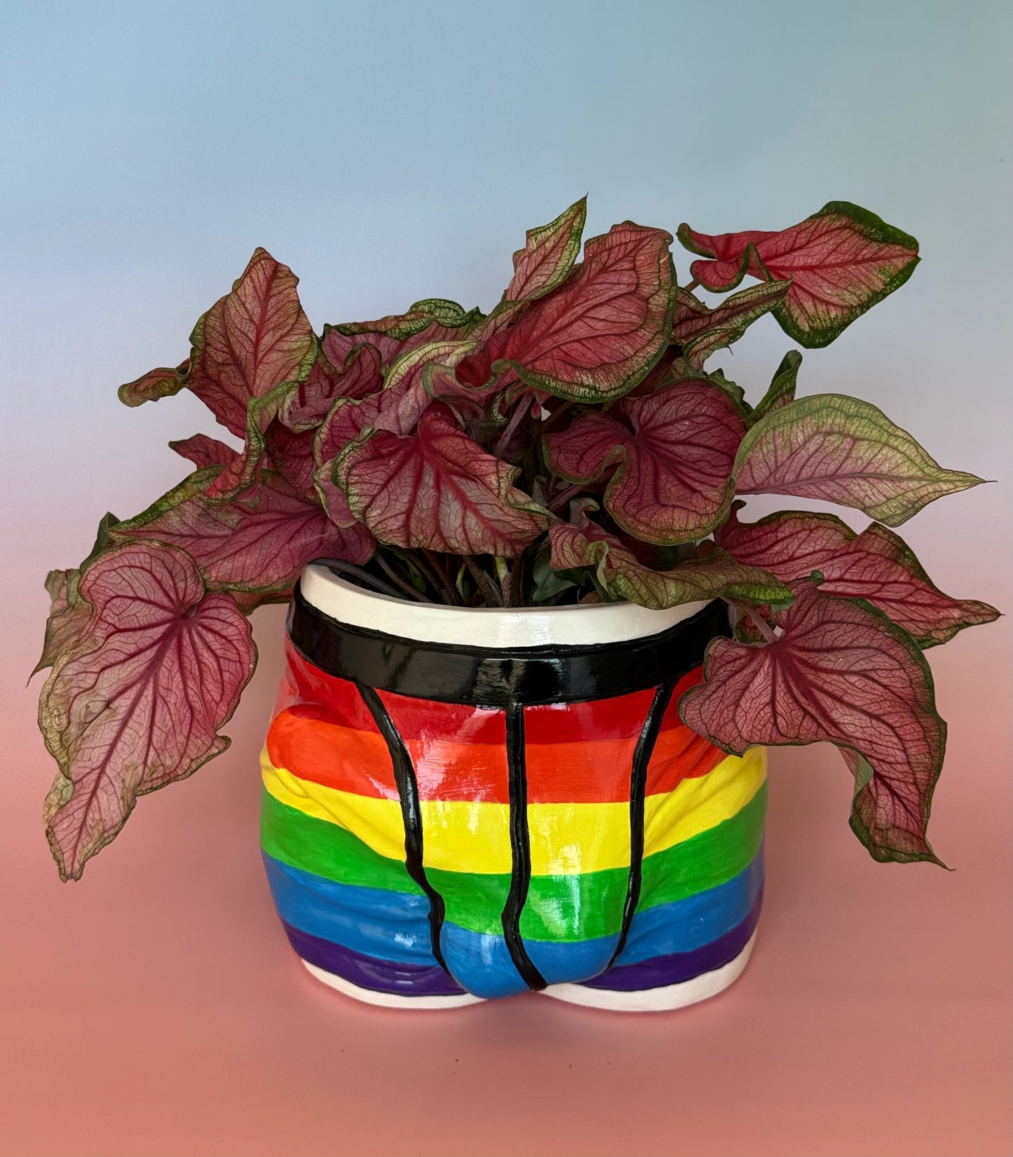 Pot/organizer «ADAM» pride 🏳🌈