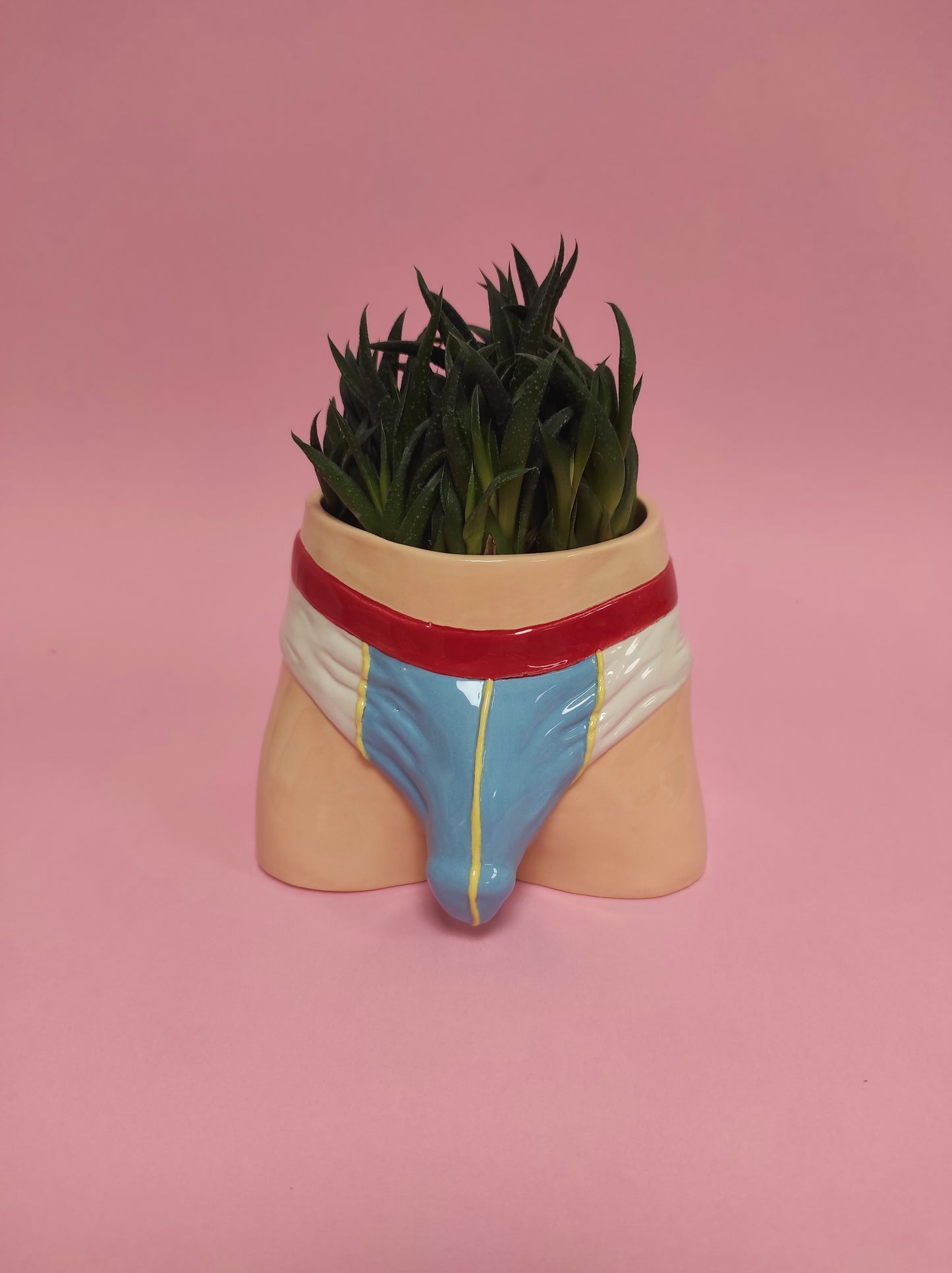 Pre-order. Pot "Briefs"