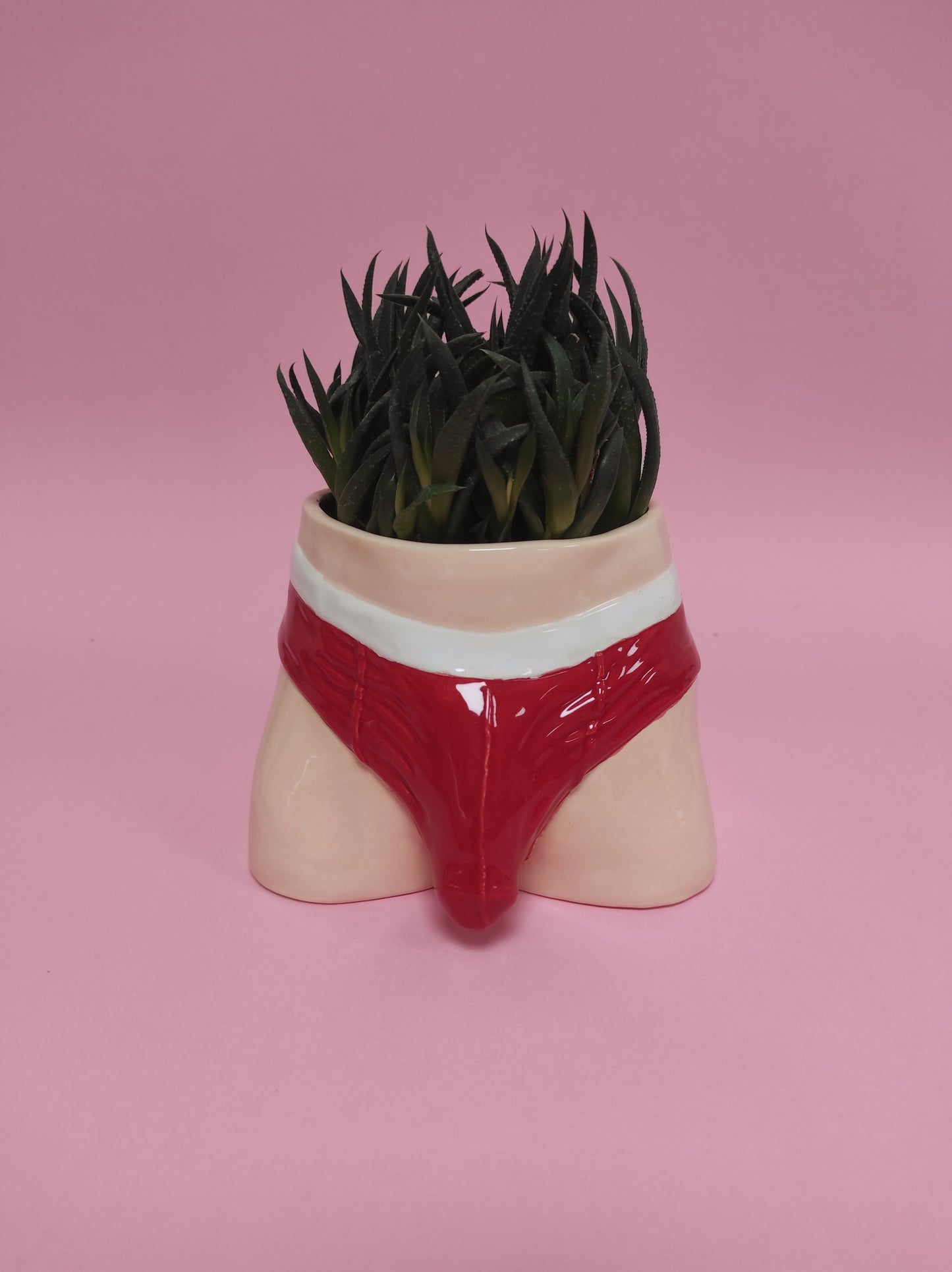Pre-order. Pot "Briefs"