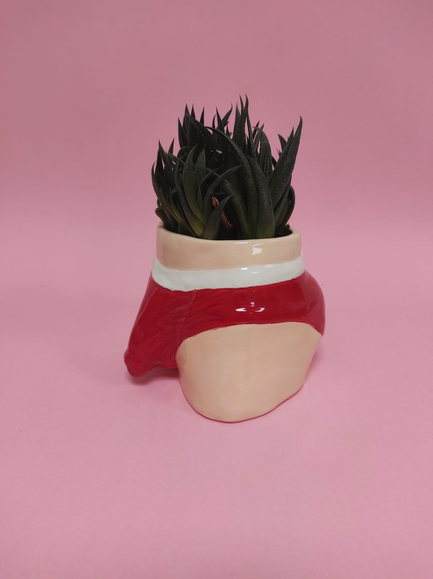 Pre-order. Pot "Briefs"