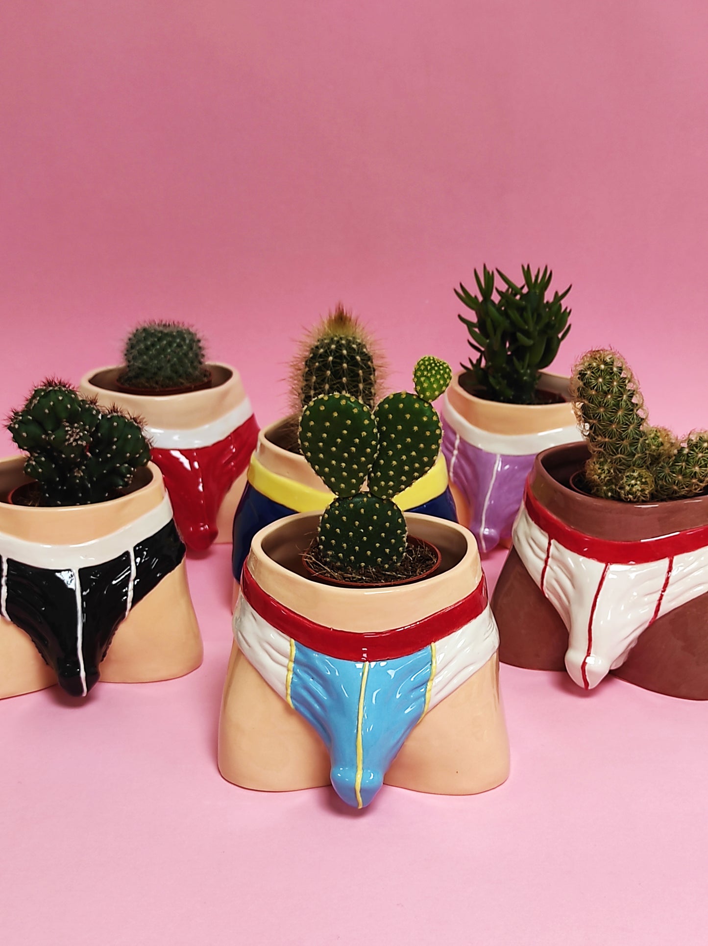 Pre-order. Pot "Briefs"
