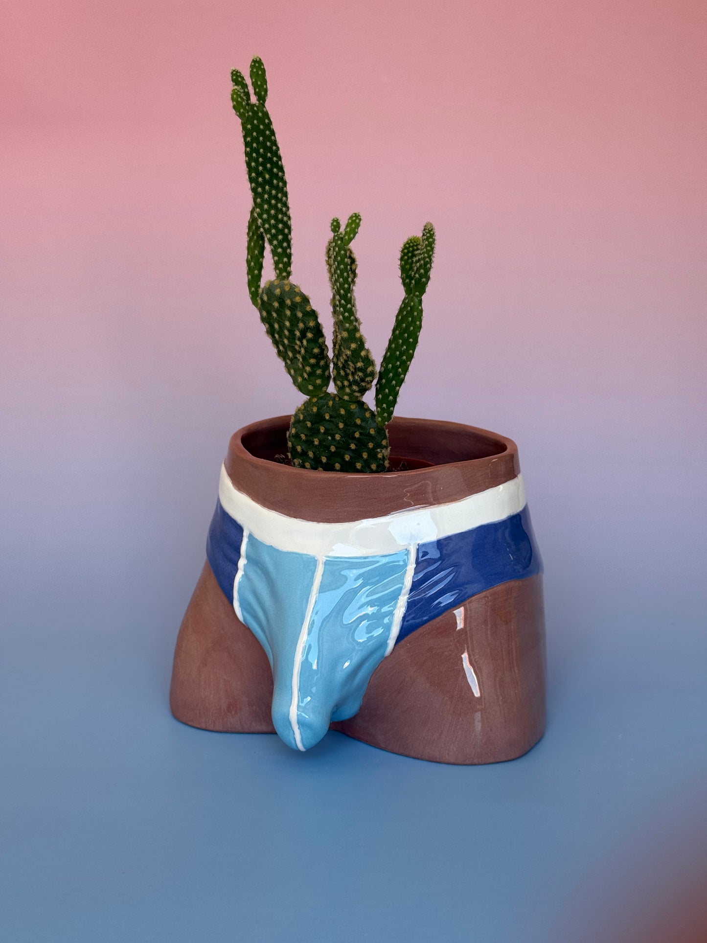 Pre-order. Pot "Briefs"