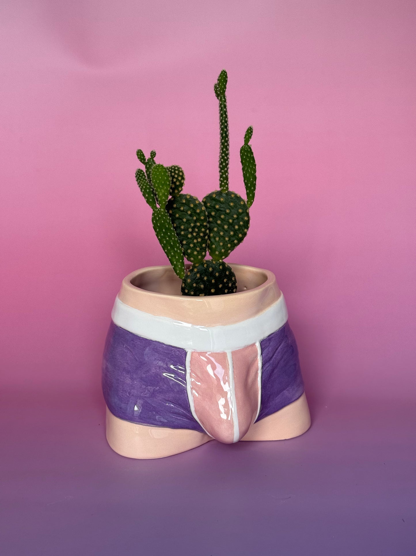 Pre-order. Pot "Briefs"