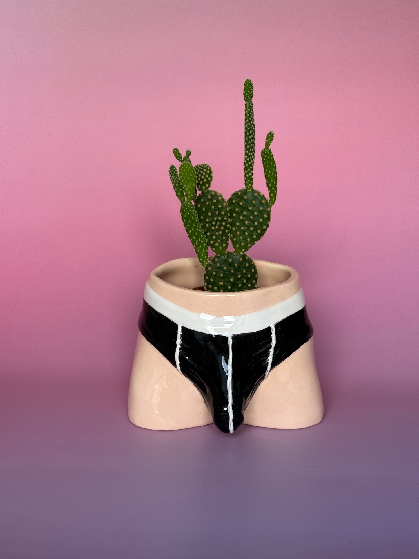 Pre-order. Pot "Briefs"
