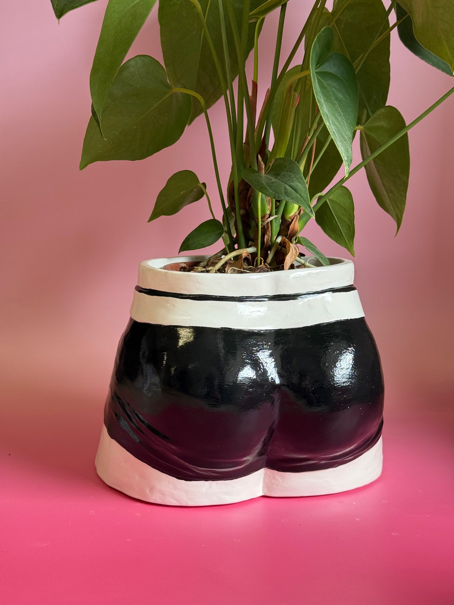 Planter “Boxers” black