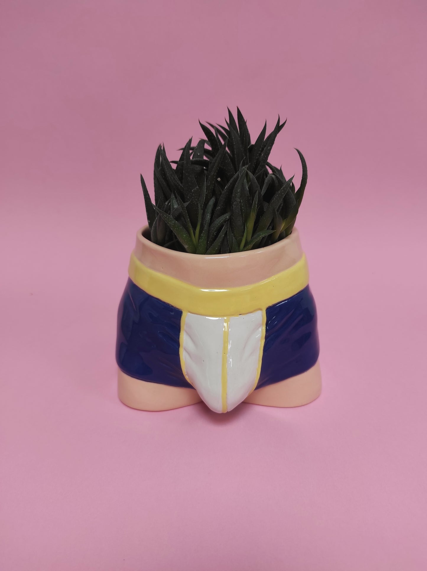 Pre-order. Pot "Briefs"