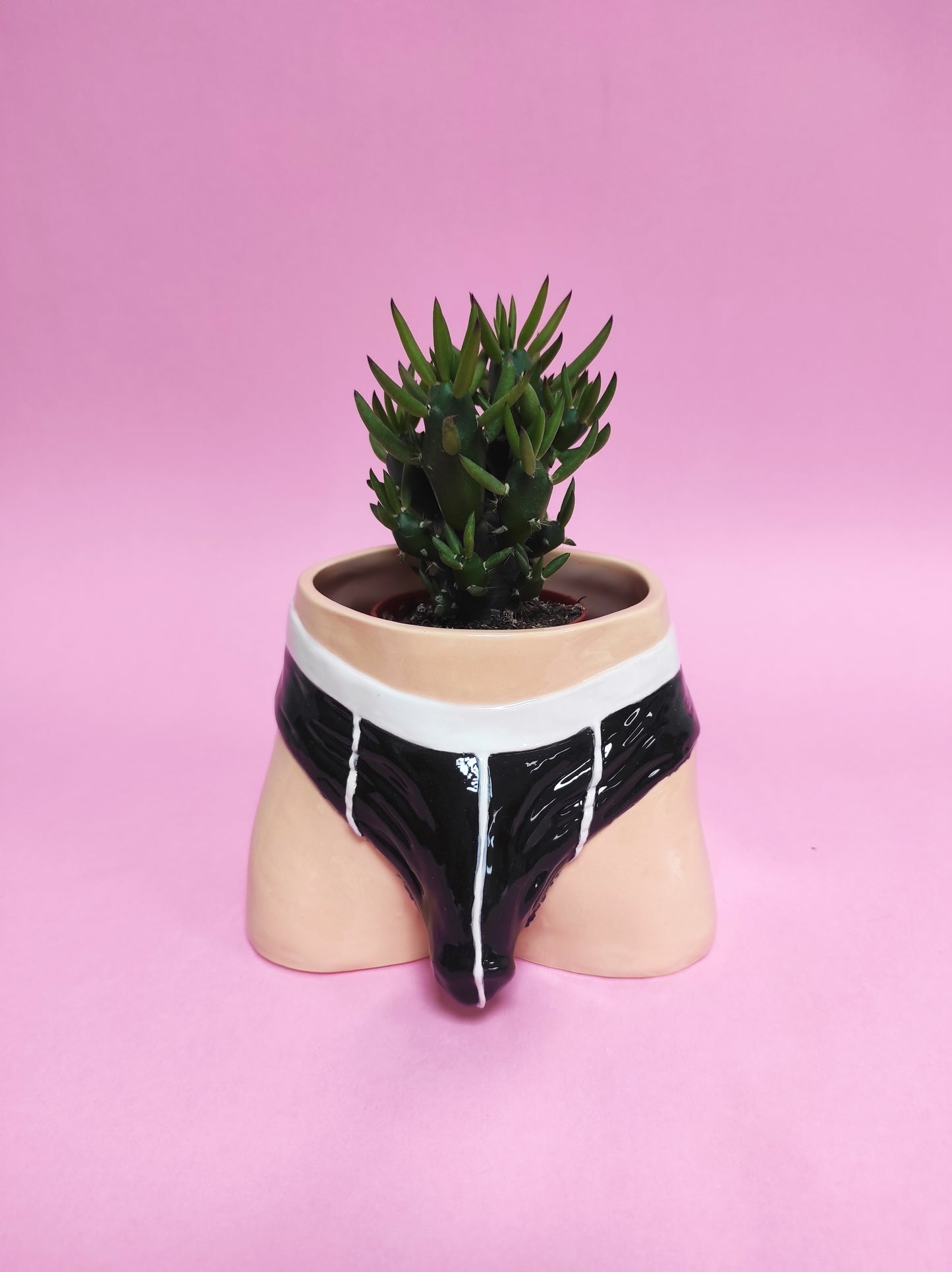 Pre-order. Pot "Briefs"