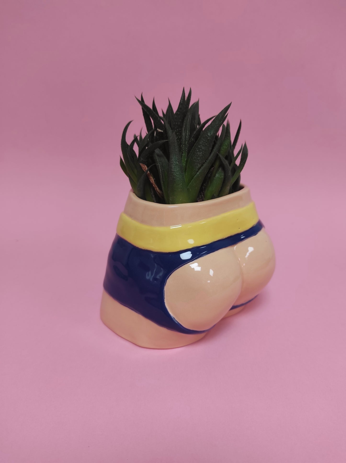 Pre-order. Pot "Briefs"