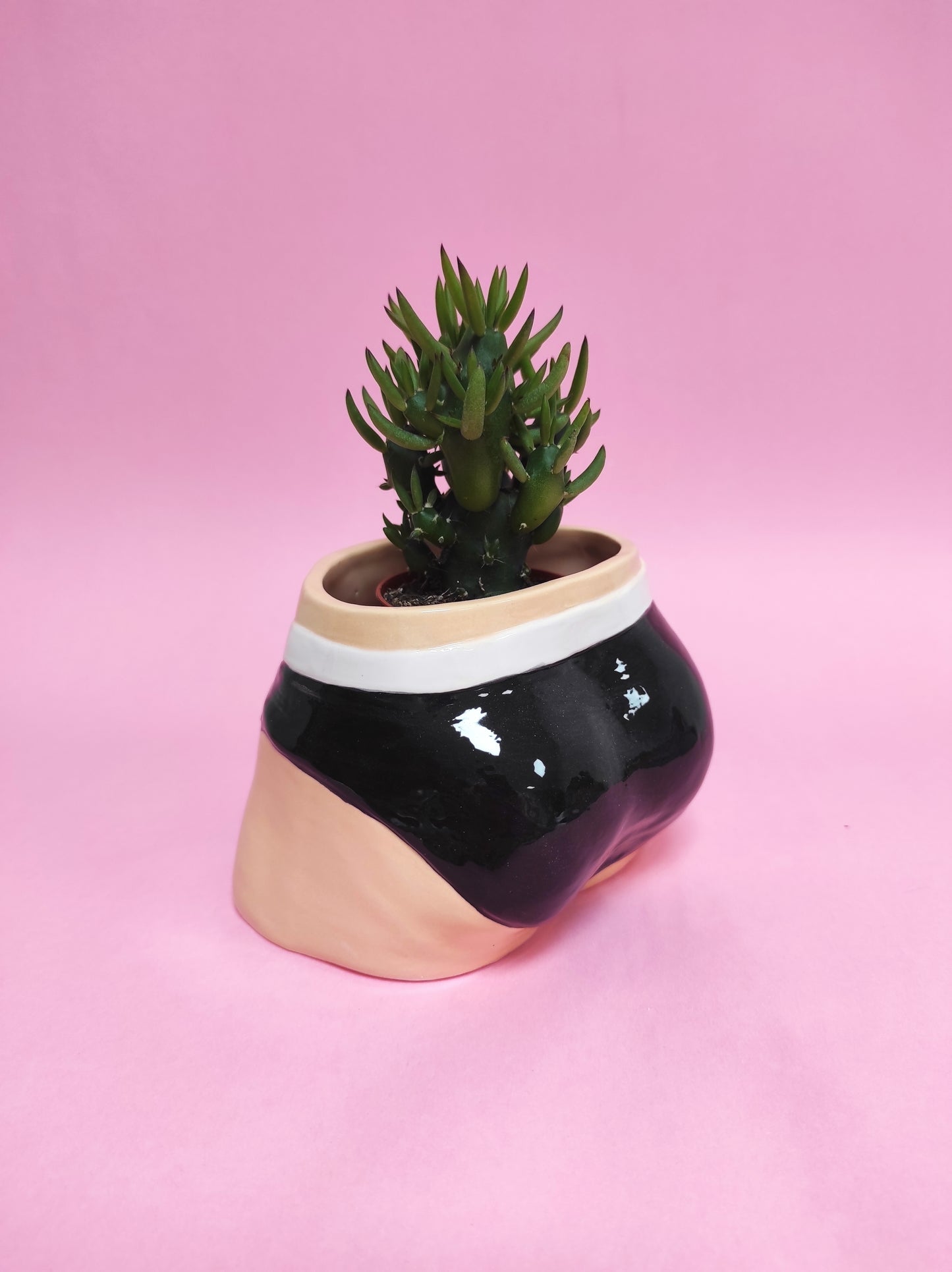 Pre-order. Pot "Briefs"