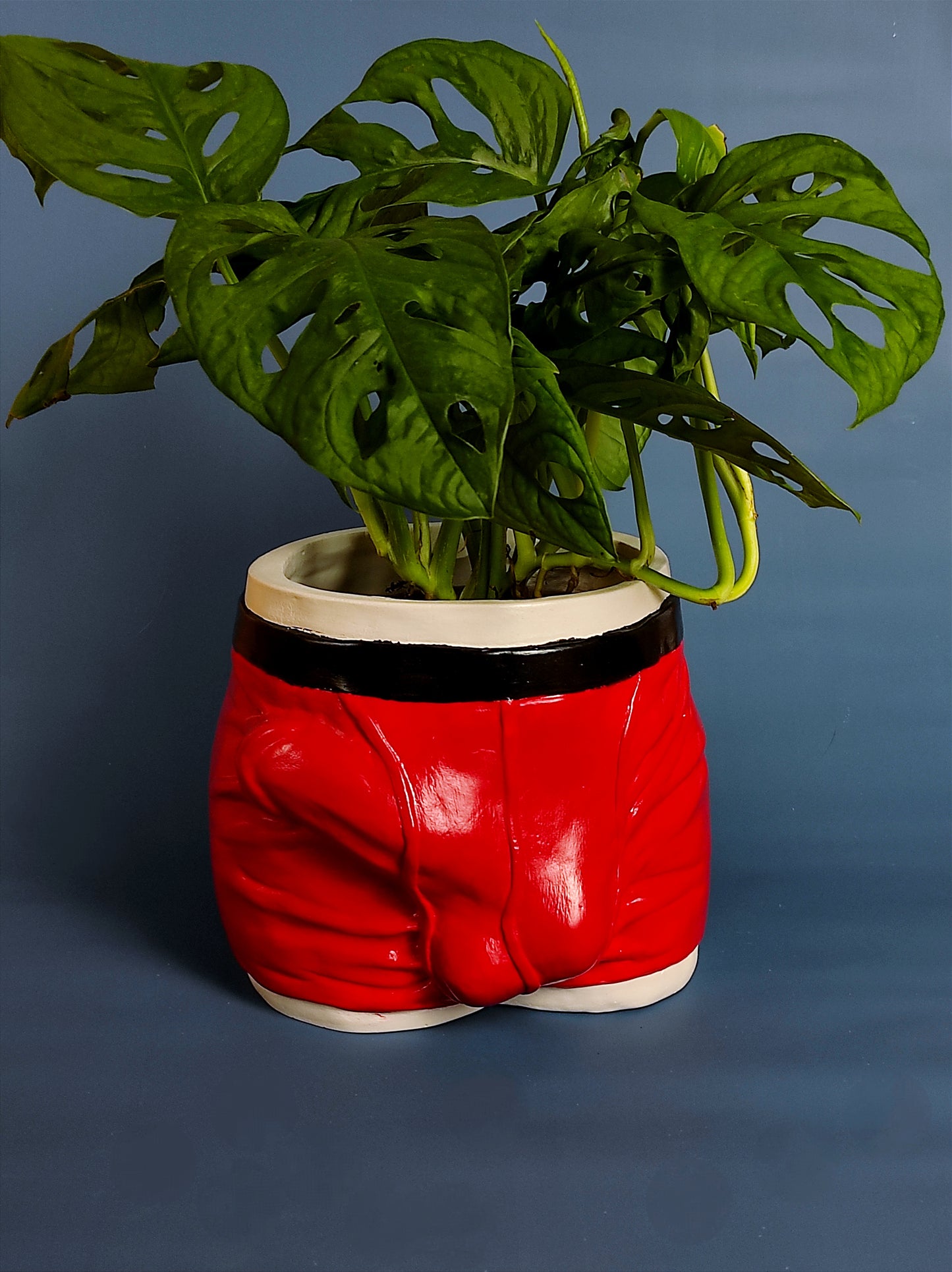 Pot/organizer «ADAM» red