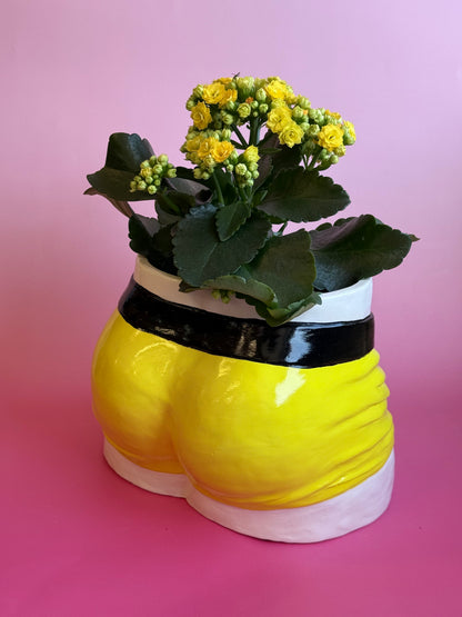 Planters “Boxers”( in five colors)