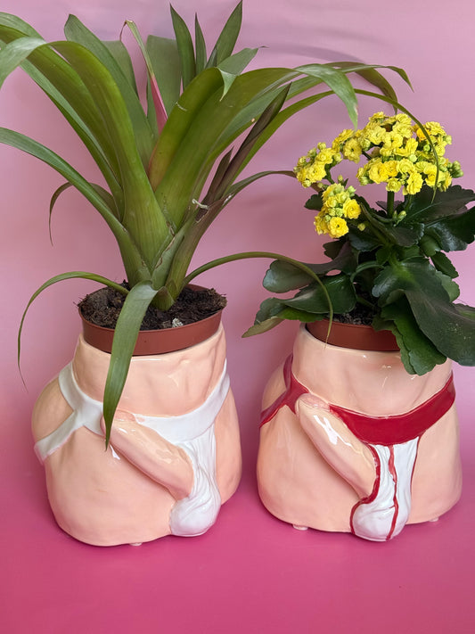 Pot “Jocks” XL