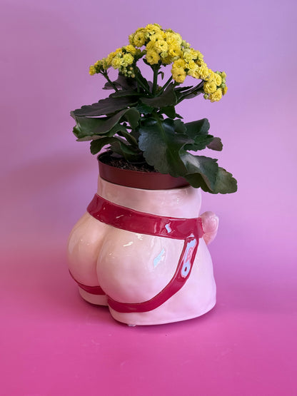 Pot “Jocks” XL