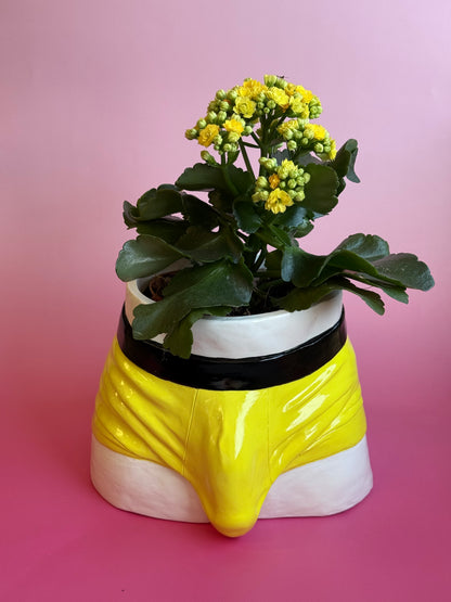 Planters “Boxers”( in five colors)