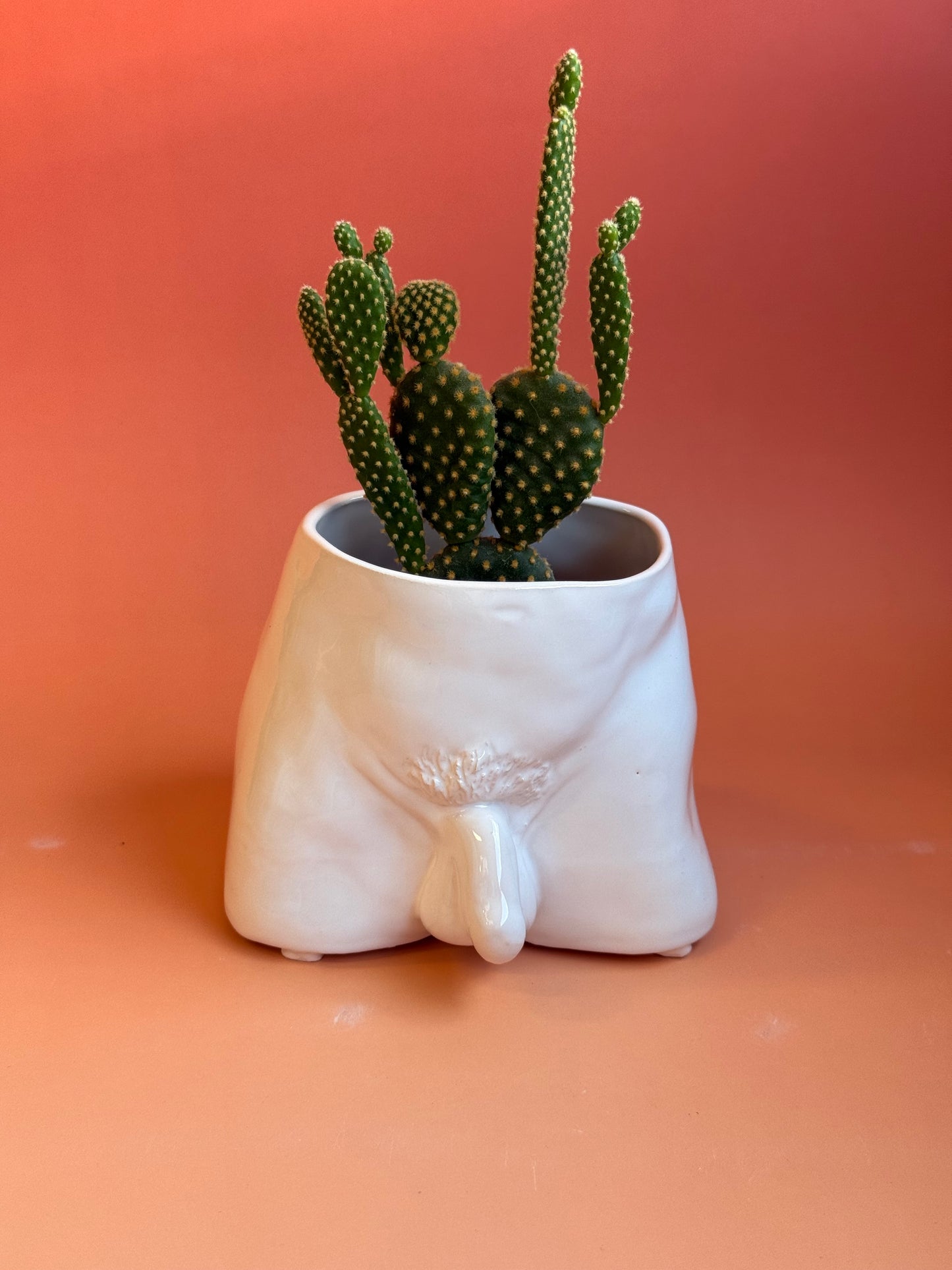 Ceramic flowerpot- David