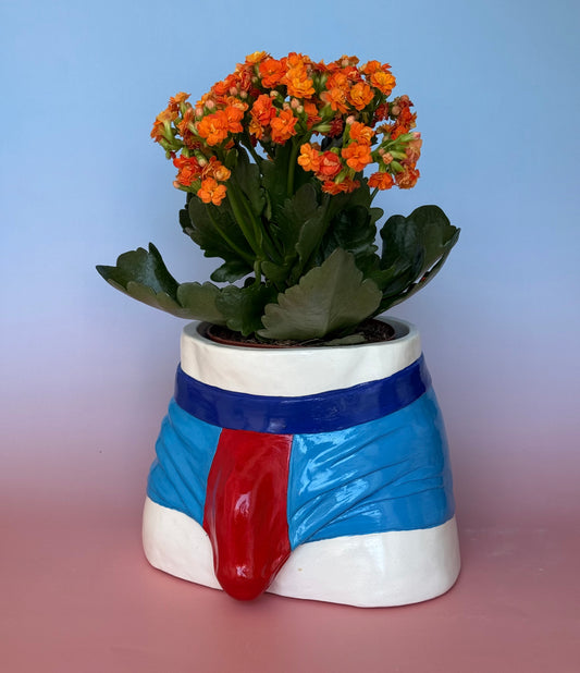 Planter “blue Boxers”