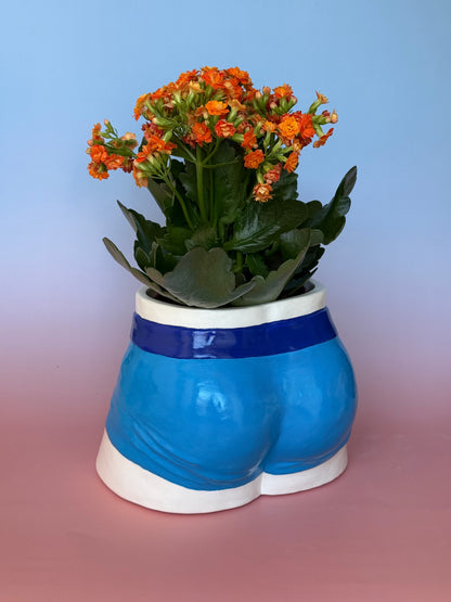 Planter “blue Boxers”