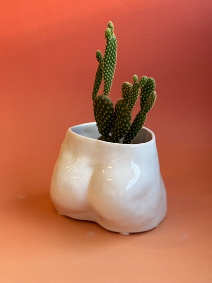 Ceramic flowerpot- David
