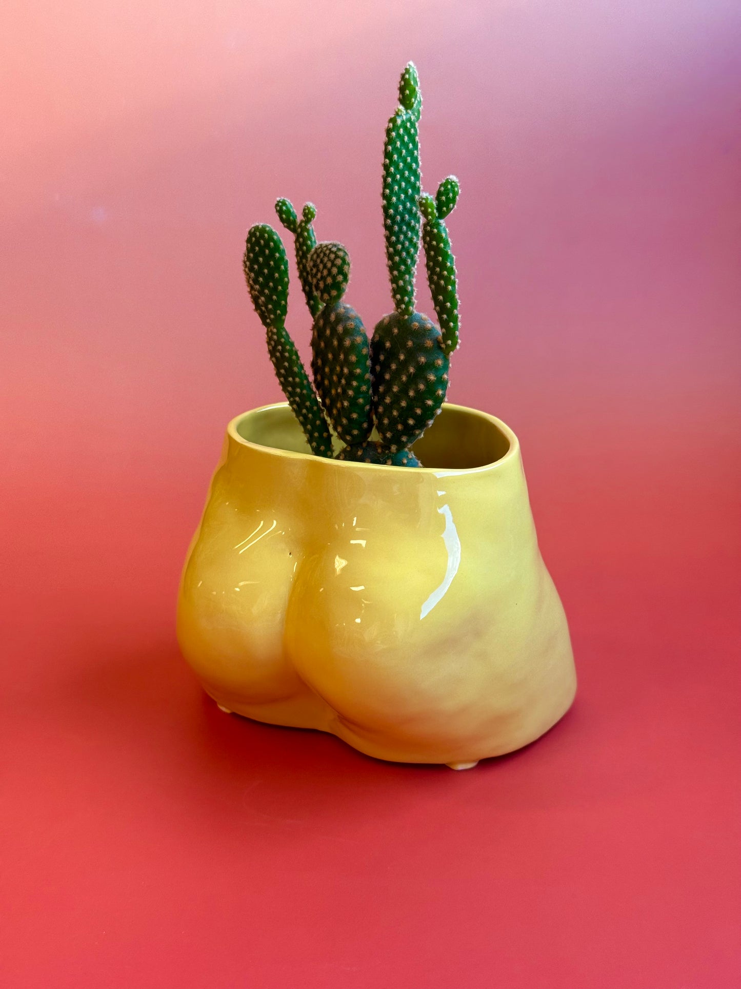 Ceramic flowerpot- David