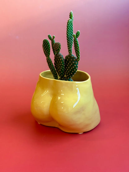 Ceramic flowerpot- David