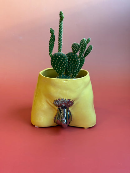 Ceramic flowerpot- David