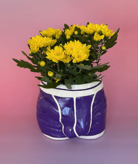 Pot/organized "Adam" purple
