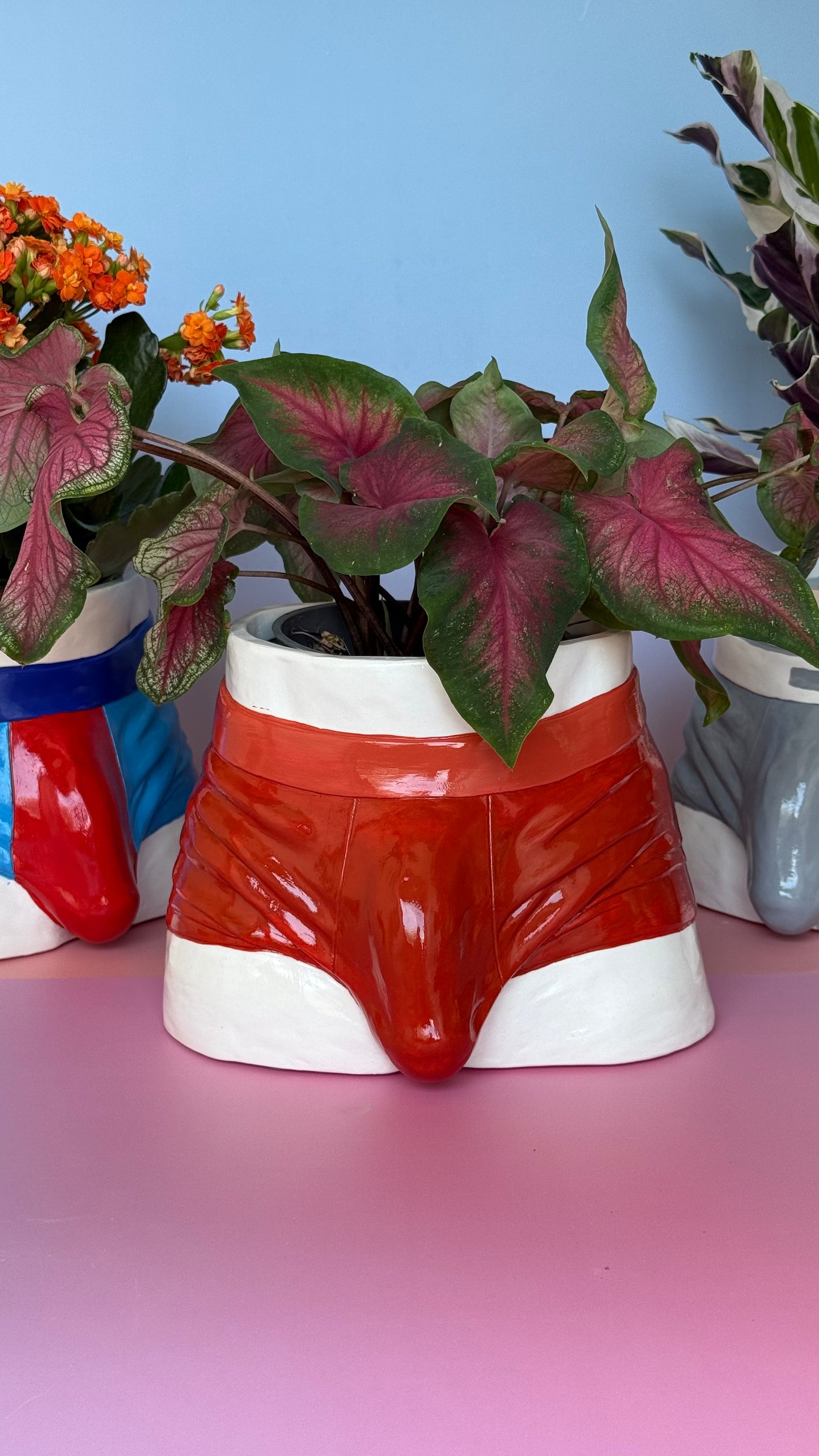 Planters “Boxers”( in five colors)