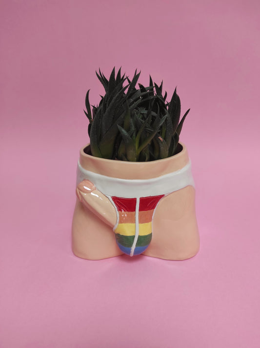 Pot "Rainbow jocks"