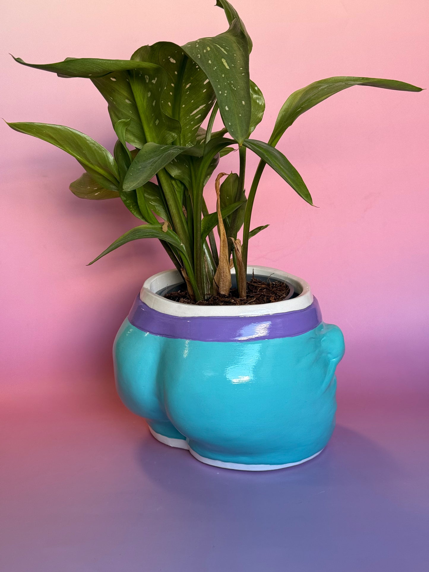 Pot/organizer «ADAM» pride 🏳‍🌈