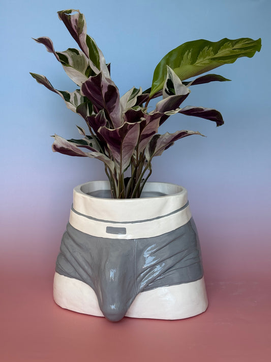 Planter “grey Boxers”