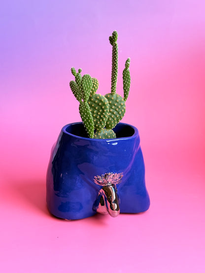 Ceramic flowerpot- David