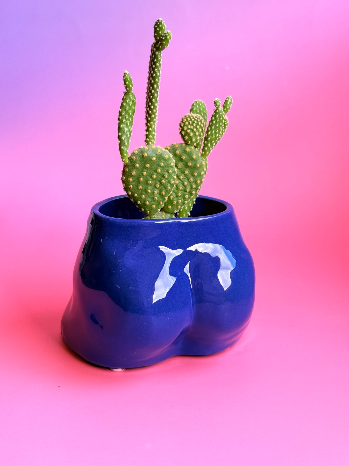 Ceramic flowerpot- David