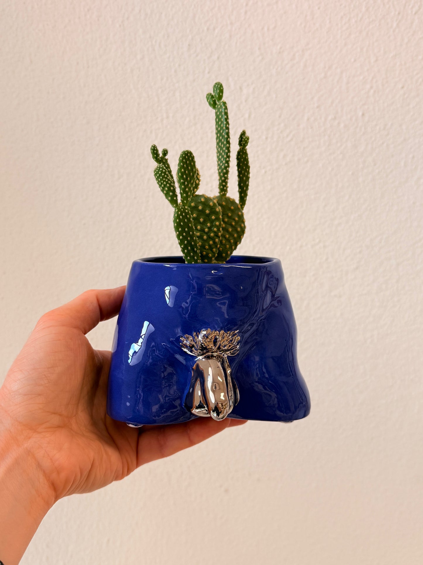 Ceramic flowerpot- David