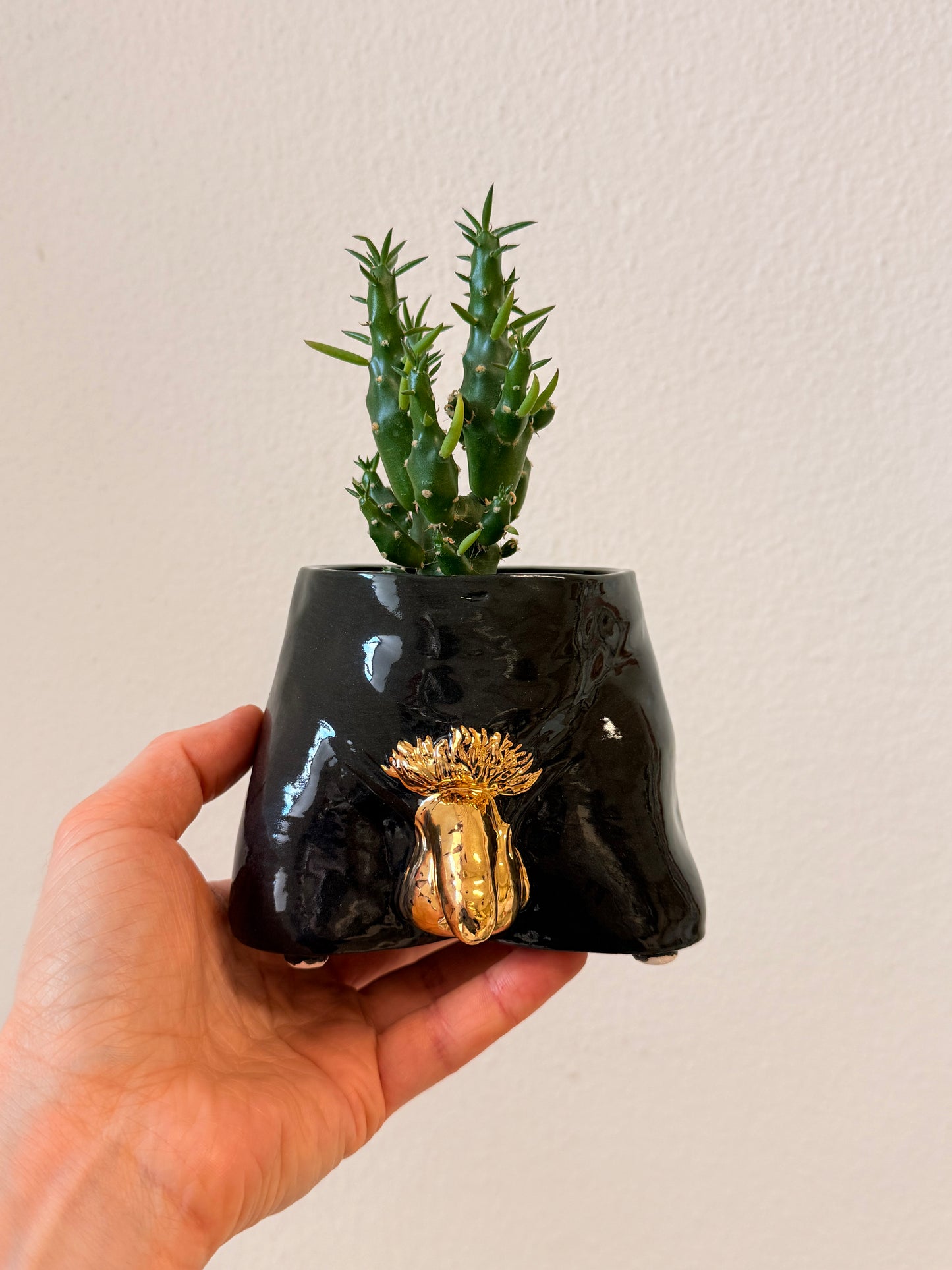 Ceramic flowerpot- David