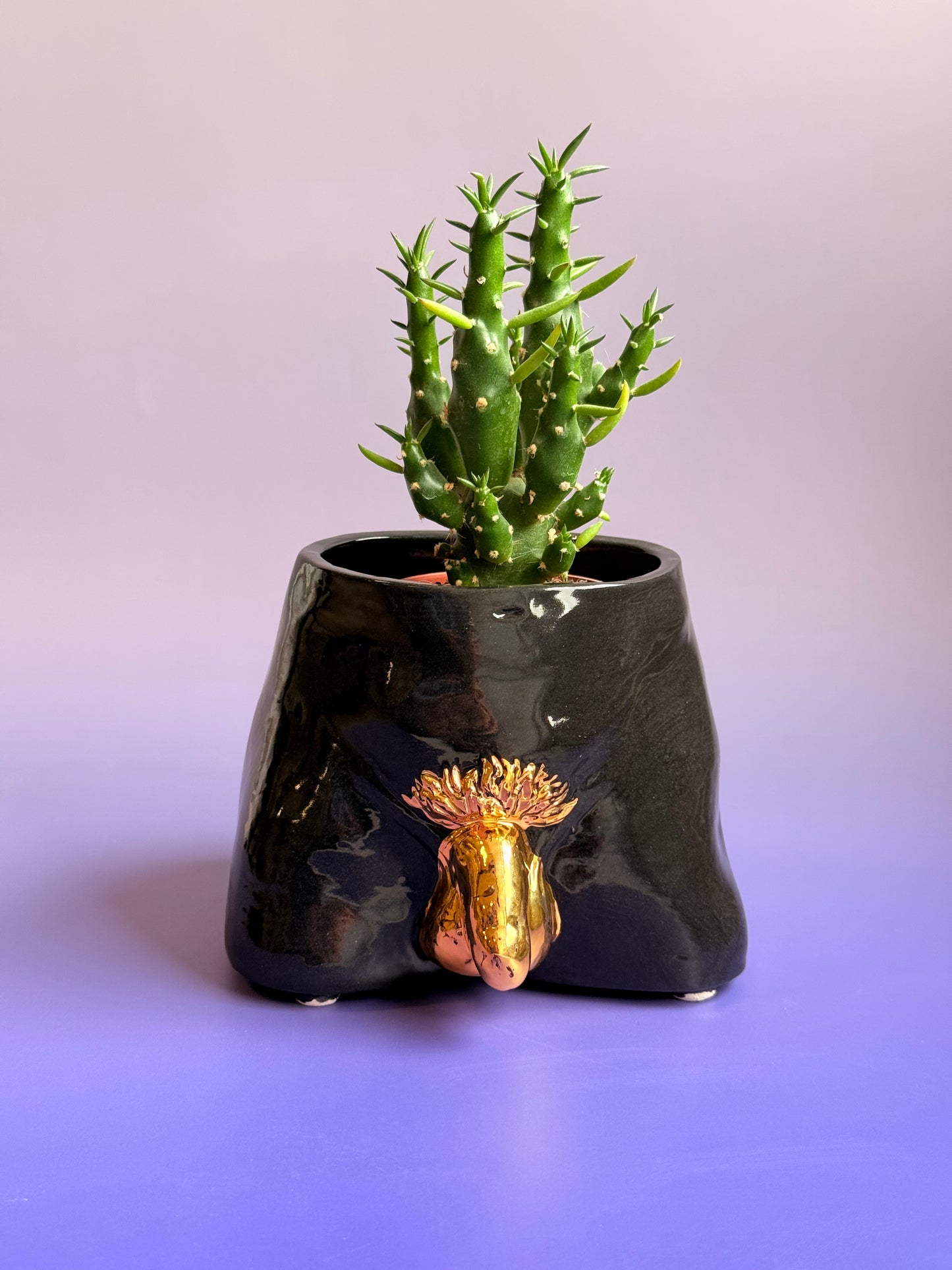 Ceramic flowerpot- David