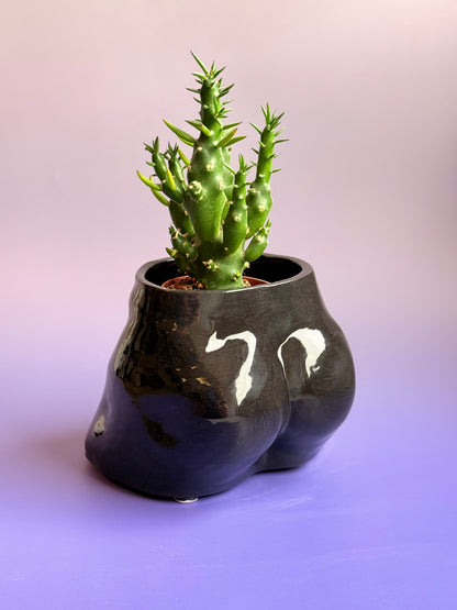 Ceramic flowerpot- David
